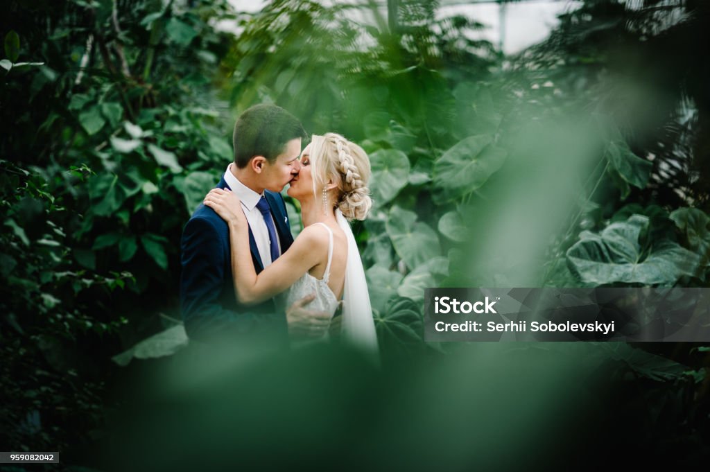 Frischvermählten sind ansehen und küssen in den Botanischen Garten voller Grün Grün. Hochzeits-Zeremonie. - Lizenzfrei Hochzeit Stock-Foto