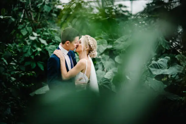 Newlyweds are standing and kissing in the Botanical green garden full of greenery. Wedding ceremony.