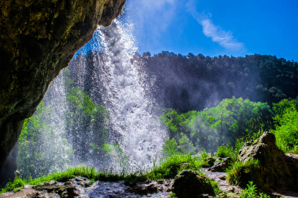 istock Outdoor Wilderness in Colorado 959084410