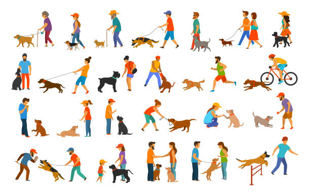 people with dogs graphic collection people with dogs graphic collection.man woman training their pets basic obedience commands like sit lay give paw walk close, exercising run jump barrier, protection, running playing and walking,teaching isolated vector illustration scenes set dog sitting vector stock illustrations