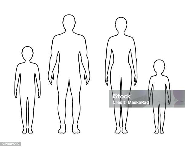 Mâle Femelle Et Contour Pour Enfants Sur Fond Blanc Vecteur Famille Vecteurs libres de droits et plus d'images vectorielles de Contour