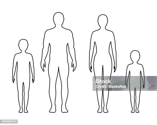 Male Female And Childrens Contour On White Background Vector Family Stock Illustration - Download Image Now