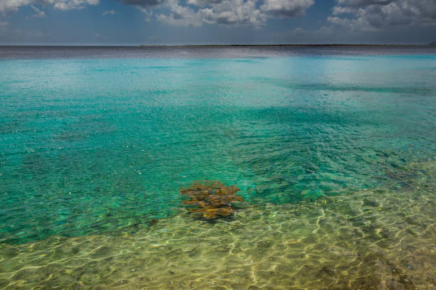 Arriving at Bonaire, capture from Ship at the Capital of Bonaire, Kralendijk in this beautiful island of the Caribbean Netherlands, with its paradisiac beaches and water.