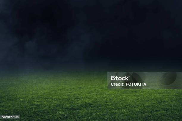 Soccer Stadium Field Stock Photo - Download Image Now - Soccer, Grass, Stadium