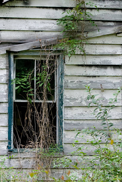 istock Abandoned House near Hilton Head 95910309