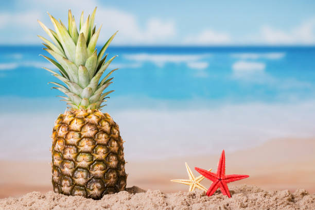 istock Pineapple stands on sand, next to starfish, amid seascape 959105626