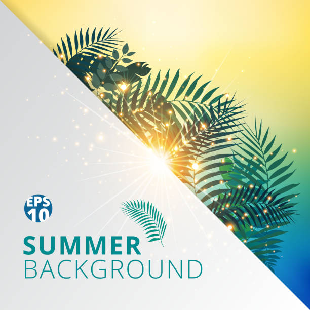 istock summer tropical with exotic palm leaves or plants and lighting effect on white paper background. 959109856