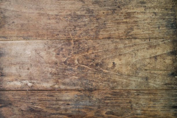 istock texture of bark wood use as natural background 959110170