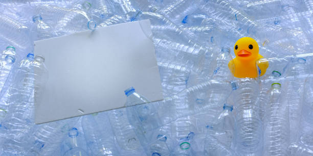 istock Rubber duck swamped by many plastic drinking water bottles with blank white piece of polystyrene in the scene. 959120104