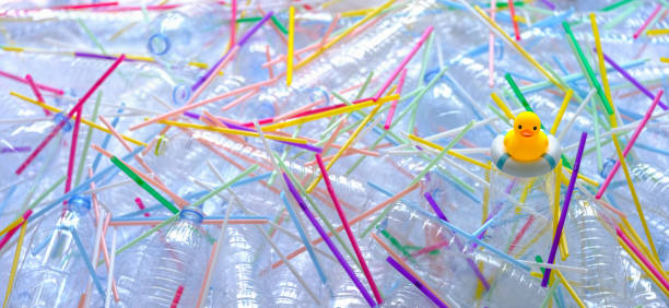 Yellow rubber duck on an inflatable life ring swamped by many plastic drinking water bottles and plastic drinking straws.