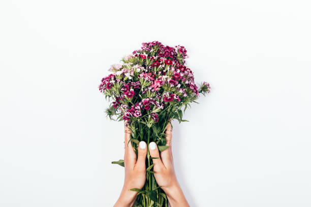 istock Women's hands with trendy manicure holding a bouquet 959120732