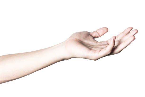 istock Hand open and ready to help or receive. Gesture isolated on white background with clipping path. 959124462