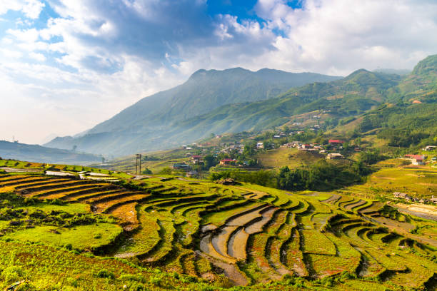 istock Terraced Rice Fields in Sapa, Vietnam 959124956