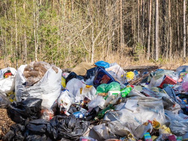 istock Dump, garbage in the nature, ecological disasters in forest 959125504