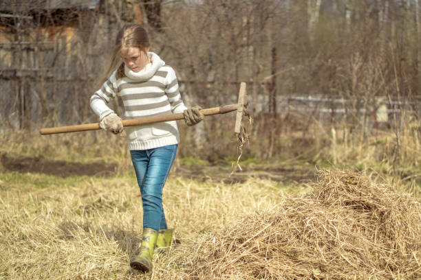 istock Young Girl Works at Farm 959128506
