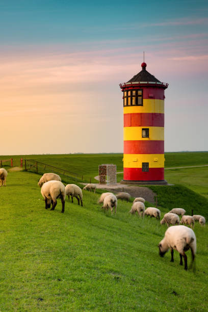 un hermoso faro en la costa de frisia oriental - friesland fotografías e imágenes de stock