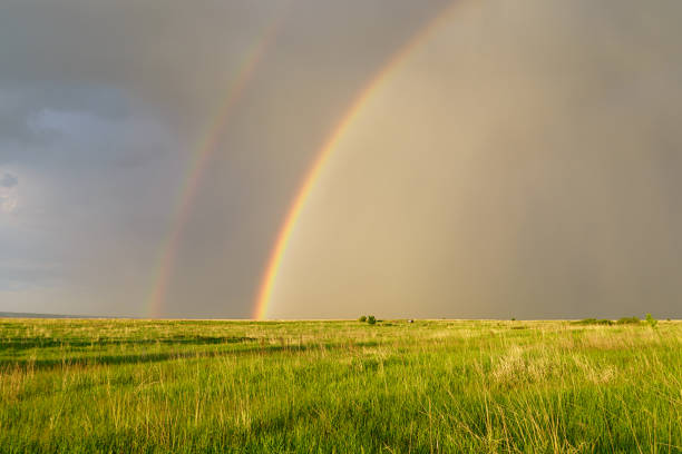 istock Summer landscape with a double rainbow over a field in a thunderstorm 959129782