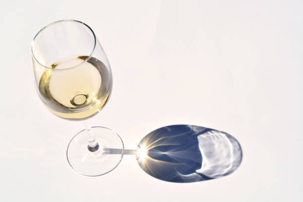 흰색 빈 복사본 공간 배경에 반사 그림자 효과 함께 화이트 와인 글라스 - wine glass white wine wineglass 뉴스 사진 이미지