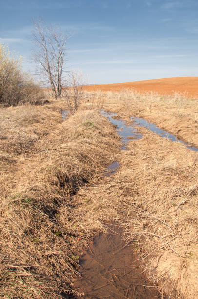 istock Spring landscape. Freshly plowed field. hilly terrain. trees without leaves. Multicolored spring trees. Snow left over from last year's winter. The last snow. 959148382