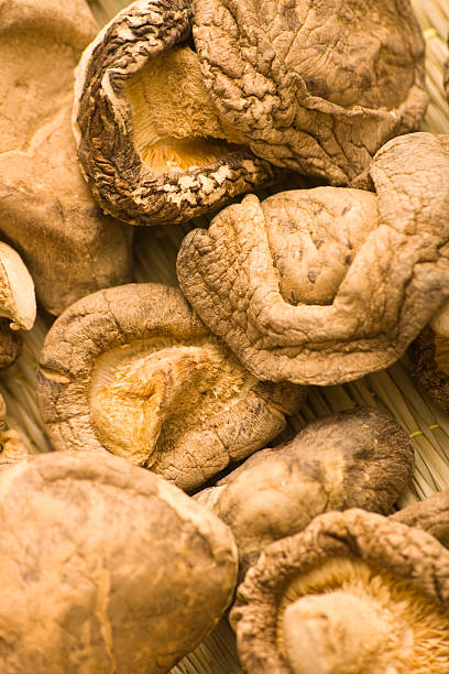 istock Chinese shiitake mushroom on a mat 95914951