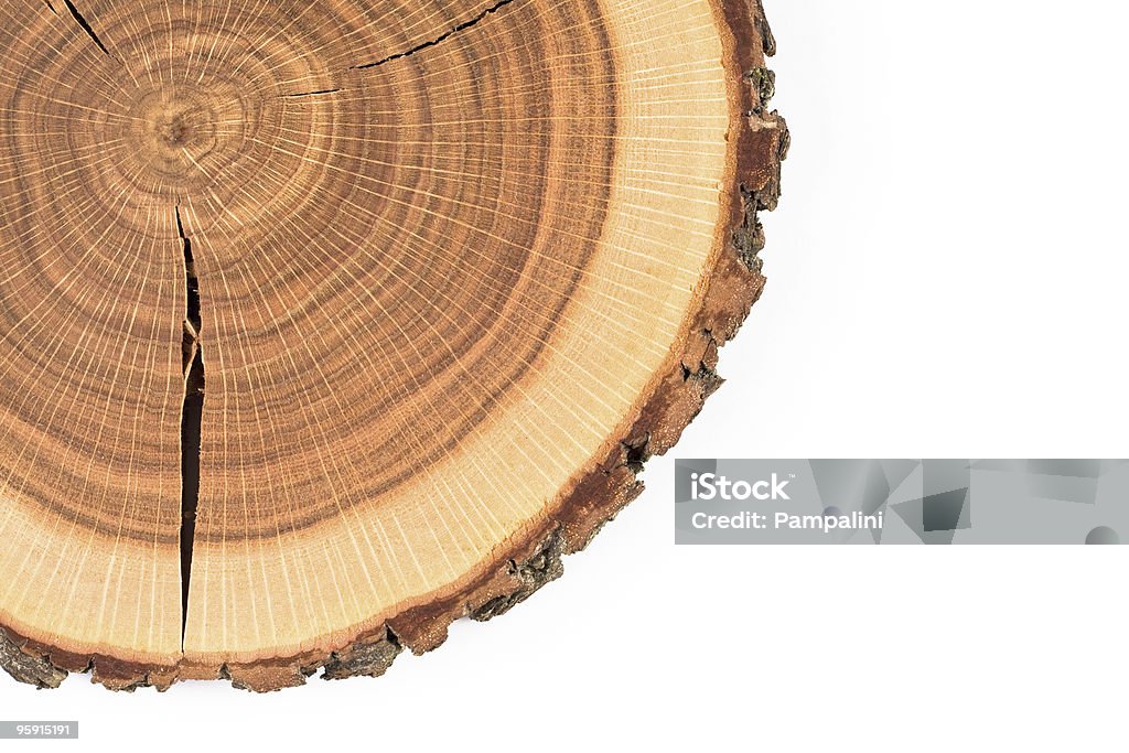 crossection de madera - Foto de stock de Anillo de árbol libre de derechos