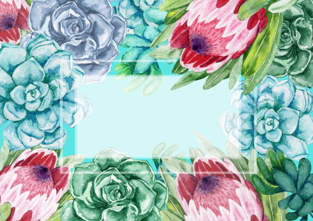 istock Watercolor frame. Succulents with protea flowers. Color cacti. 959152800