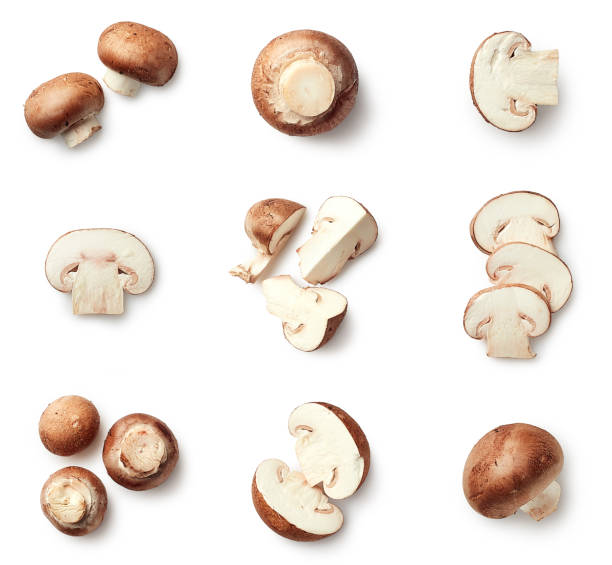 istock Set of fresh whole and sliced champignons 959153496