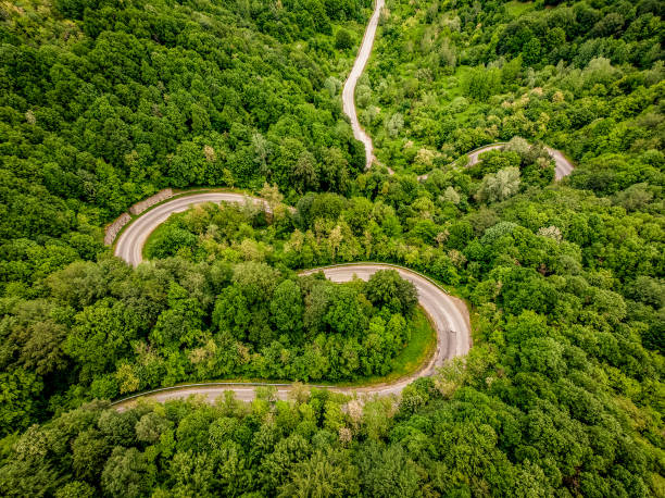 istock Extreme winding highway in the forest 959157596