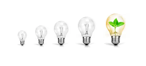 Light bulb with one growth of plant inside on white background , green growth success of business creative idea concept