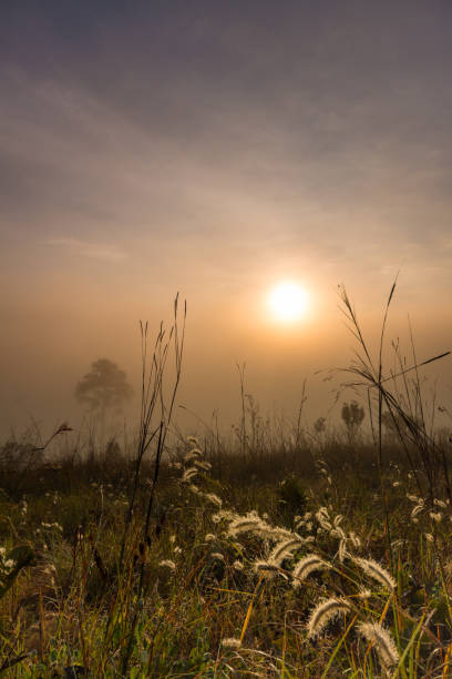 istock Beautiful sunrise with foggy environment 959172000