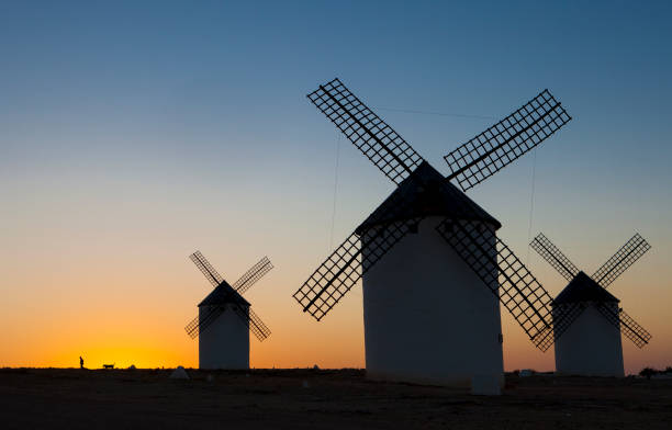 istock Man walking the dog at Campo de Criptana windmills site, Spain 959175844