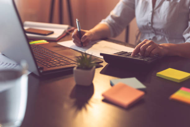istock Female accountant working in a home office 959176584
