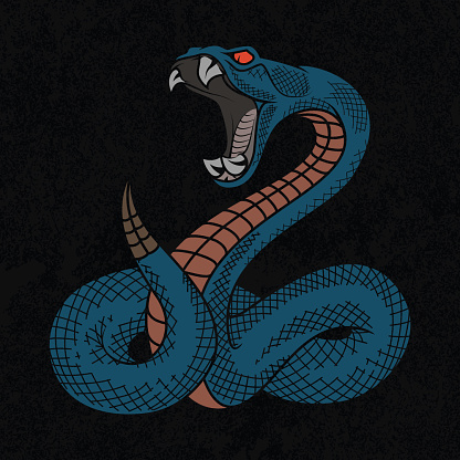 Viper snake.