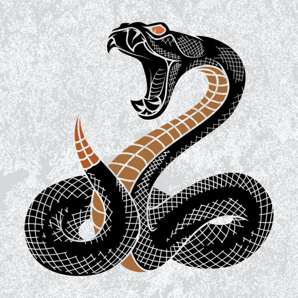 바이퍼의 뱀 - 살모사 이미지 stock illustrations
