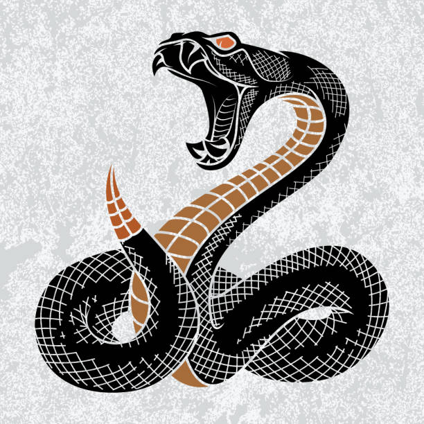 Viper snake. Hand drawn vector illustration in ink technique on grunge background, good for poster, sticker, tee shirt design. venom symbol stock illustrations
