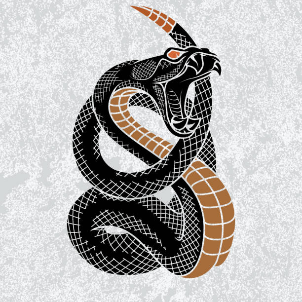 ilustrações de stock, clip art, desenhos animados e ícones de viper snake. - snake cobra cartoon rattlesnake