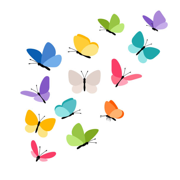 Butterflies in flight Butterflies in flight. Colorful tropical butterfly decorative elements on white for design, vector illustration spring stock illustrations