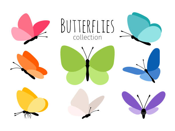 illustrations, cliparts, dessins animés et icônes de papillons de printemps coloré - papillon