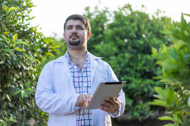 istock Farmer conducting research using a digital tablet in a garden 959187000