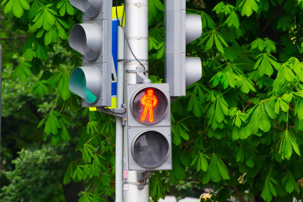 istock Pedestrian lamp in the city with blurry background 959190220