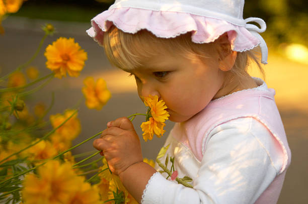 pequena garota entre flores - rape flower - fotografias e filmes do acervo