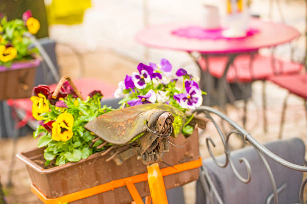 bicycle with flowers at a street cafe