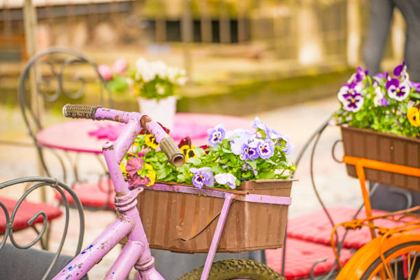 istock bicycle with flowers at a street cafe 959192788
