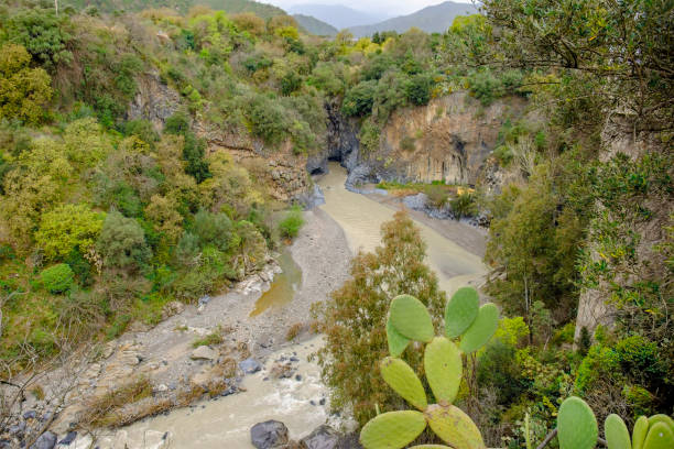 gole dell'alcantara - alcantara gorge (sicília, itália) - sicily river water gole dellalcantara - fotografias e filmes do acervo