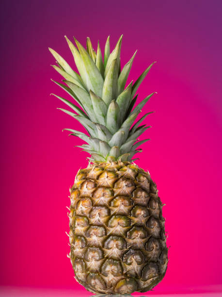 istock Large pineapple with peel and green leaves on pink 959194188