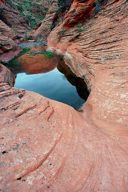 Deserto Piscina chuva - fotografia de stock