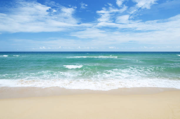 fundo de praia  - nian - fotografias e filmes do acervo