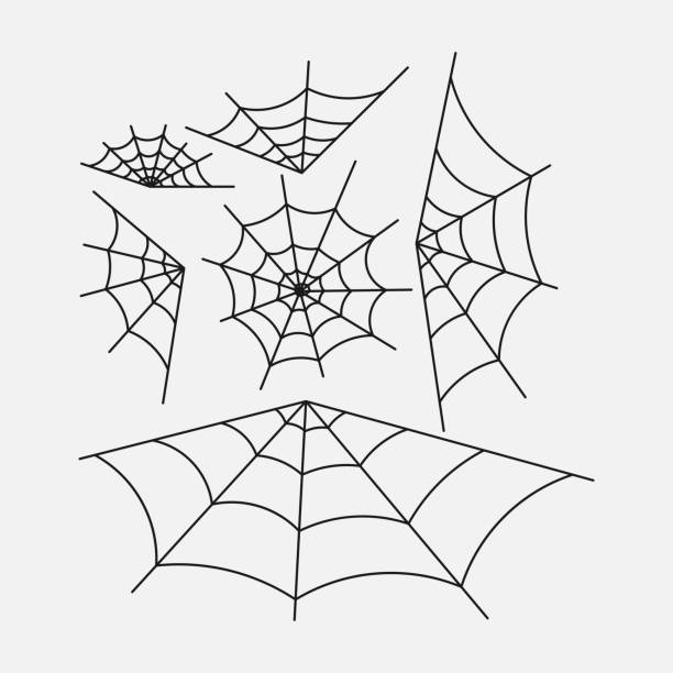 istock set of spider webs, halloween design, decoration with spider 959198312