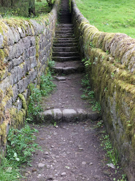 istock old stone steps with walls plants and trees in countryside 959199462