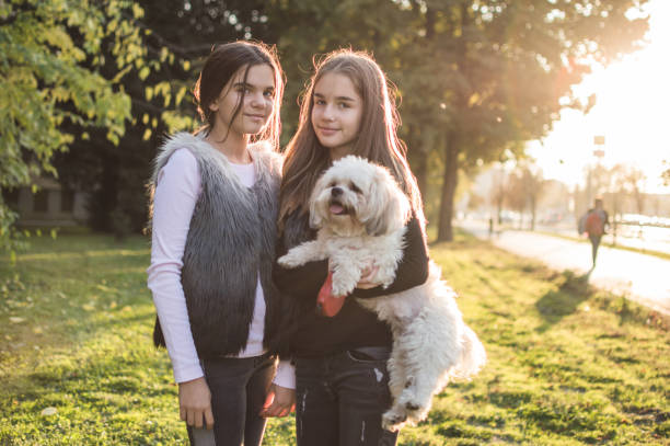 istock New fluffy family member 959200130